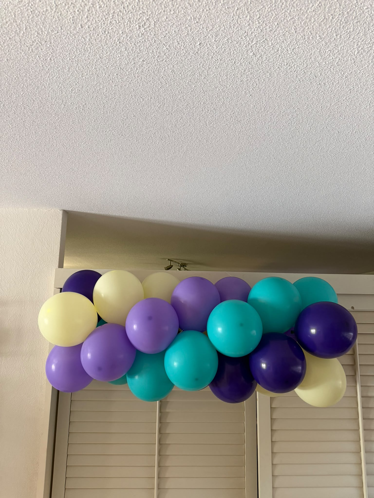 Ballonslinger per meter sfeerfoto 1